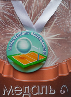 - Медаль Заслуженному волейболисту (металл)